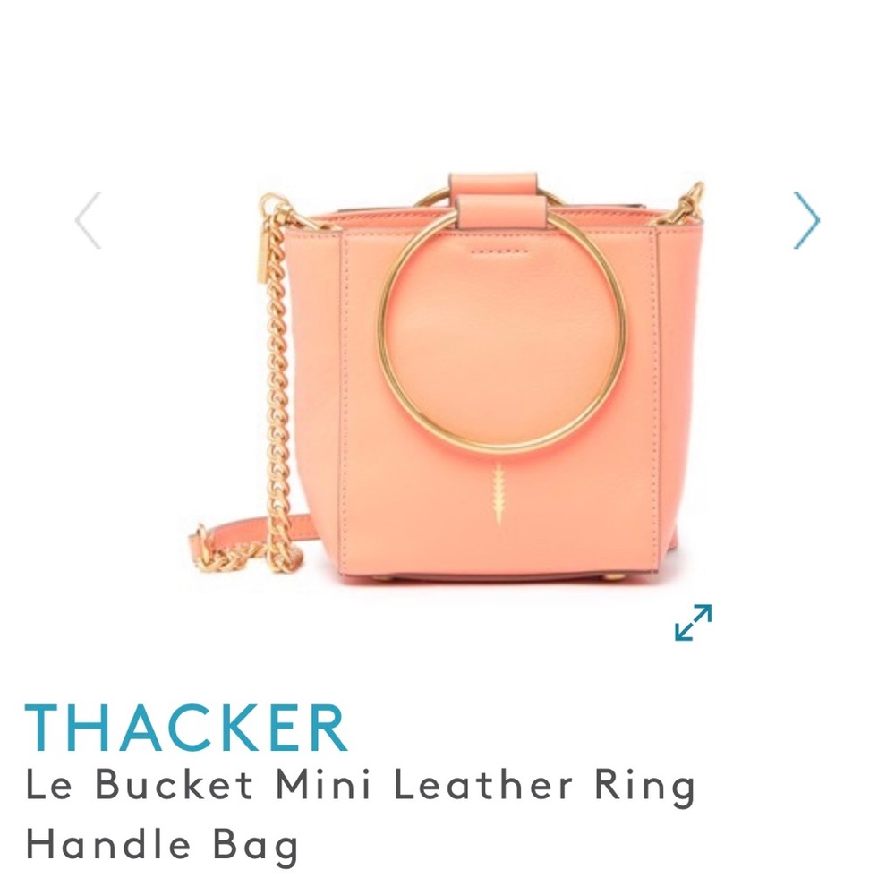 NWT Thacker Le Bucket Mini Leather Ring Handle Bag